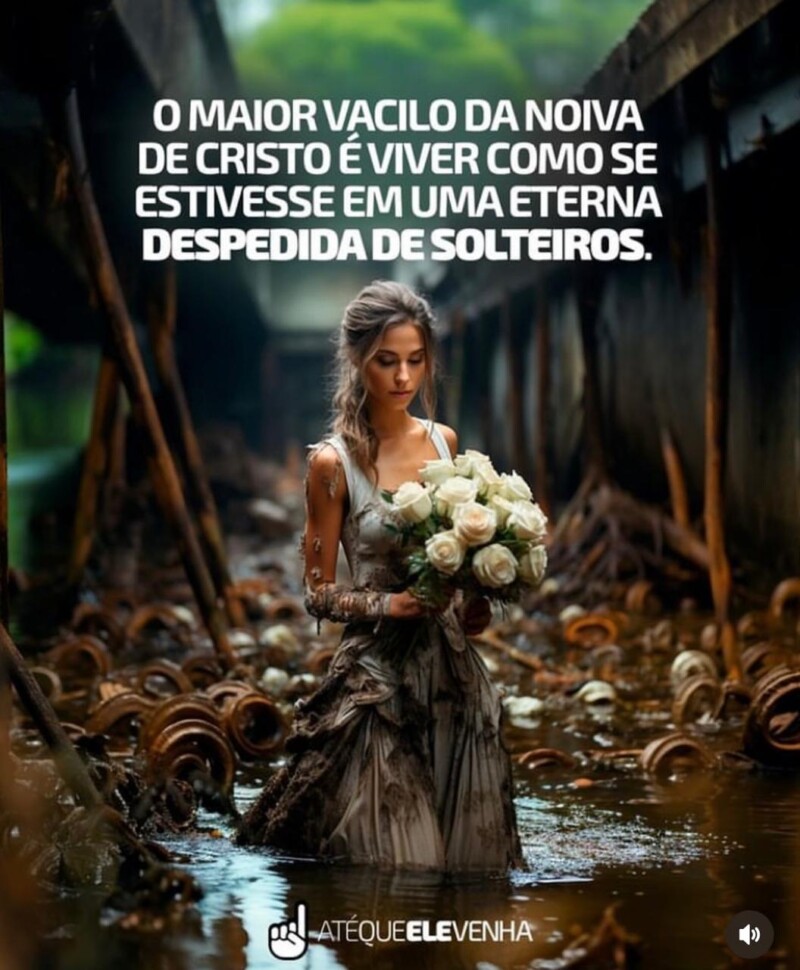 img-20241119-wa0002
